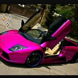 Meet your Posher, Kittycat